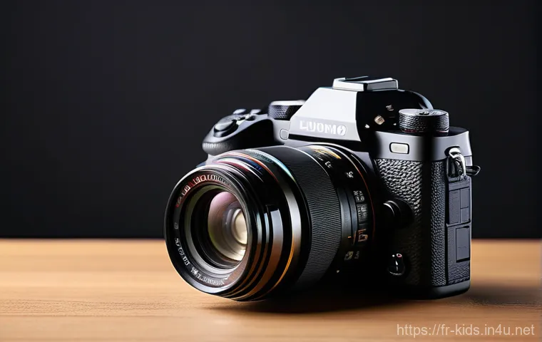 유아교육지도사 자격증 시험 합격률 통계 이미지 2